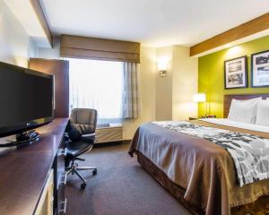 een hotelkamer met een bed en een flatscreen-tv bij Econo Lodge Amarillo East in Amarillo