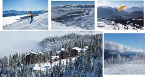 a collage of photos of a ski resort in the snow at Les Blanches Provençales in Selonnet