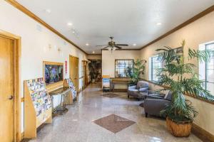 a lobby with a waiting room with plants at Econo Lodge Inn & Suites Corpus Christi in Corpus Christi