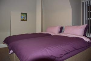 Micklegate House