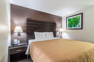 Postel nebo postele na pokoji v ubytování Quality Inn & Suites Canton