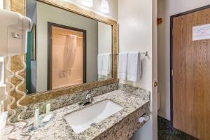 Koupelna v ubytování Quality Inn Allen - Plano East