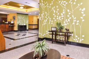 The lobby or reception area at Sleep Inn and Suites Downtown Houston