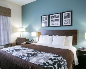Postel nebo postele na pokoji v ubytování Sleep Inn & Suites Austin North - I-35