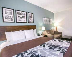 Postel nebo postele na pokoji v ubytování Sleep Inn & Suites Austin North - I-35