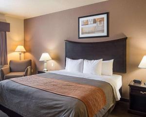 Postel nebo postele na pokoji v ubytování Comfort Inn I-20 Midland Stanton