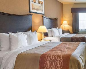 Postel nebo postele na pokoji v ubytování Comfort Inn I-20 Midland Stanton
