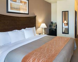 Postel nebo postele na pokoji v ubytování Comfort Inn I-20 Midland Stanton