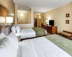Postel nebo postele na pokoji v ubytování Comfort Suites Cotulla near I-35