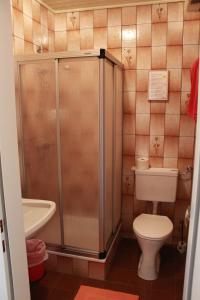 a small bathroom with a toilet and a shower at Mohnhotel - Bergwirt Schrammel in Zwettl Stadt