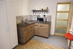uma pequena cozinha com um lavatório e um micro-ondas em Studio charmant intra-muros em Avignon
