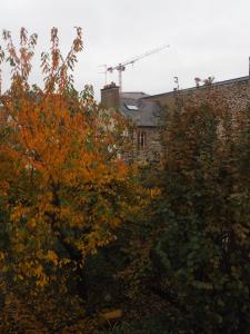 a tree with orange leaves in front of a building at L'Etage in Rennes +1 photo