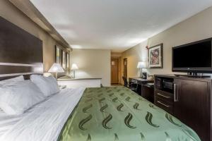 Postel nebo postele na pokoji v ubytování Quality Inn & Suites West El Paso I-10
