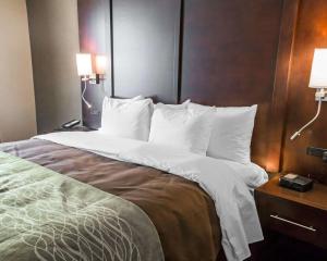 Comfort Inn & Suites Pharr/McAllen
