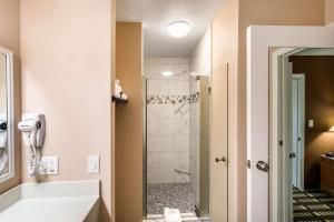 Koupelna v ubytování Quality Inn & Suites Plano East - Richardson
