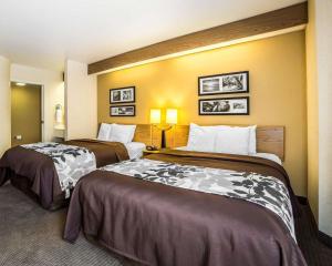 Quality Inn Moab Slickrock Area في موآب: غرفه فندقيه فيها سريرين