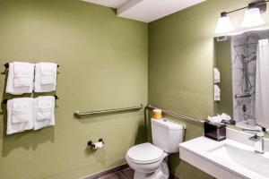 Koupelna v ubytování Quality Inn & Suites Plano East - Richardson