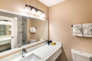 Koupelna v ubytování Quality Inn & Suites Plano East - Richardson
