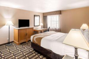 Postel nebo postele na pokoji v ubytování Quality Inn & Suites Plano East - Richardson
