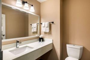 Koupelna v ubytování Quality Inn & Suites Plano East - Richardson