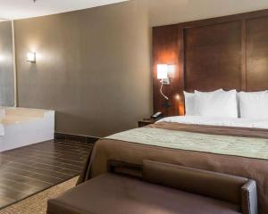 Postelja oz. postelje v sobi nastanitve Comfort Inn & Suites Pharr/McAllen