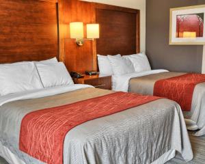 Postel nebo postele na pokoji v ubytování Comfort Inn Ruther Glen near Kings Dominion