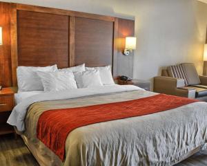Postel nebo postele na pokoji v ubytování Comfort Inn Ruther Glen near Kings Dominion