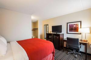 Habitación de hotel con cama, escritorio y TV. en Quality Inn near Potomac Mills en Woodbridge