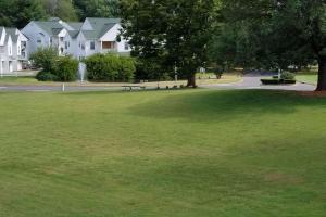 a group of birds sitting on the grass in a park at Quality Inn in Culpeper