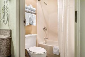 a bathroom with a toilet and a tub and a shower curtain at Quality Inn in Culpeper