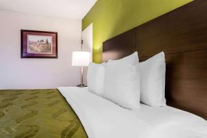 a bedroom with a large bed with white pillows at Quality Inn in Culpeper