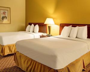 Ảnh trong thư viện ảnh của Quality Inn North ở Richmond +27 ảnh