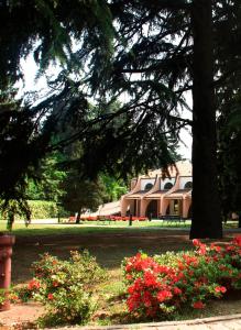 Zahrada ubytování Hotel Pineta