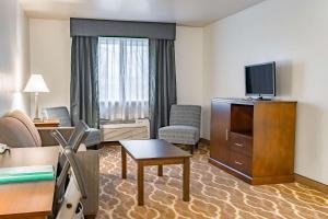 TV a/nebo společenská místnost v ubytování Quality Inn & Suites Vancouver North