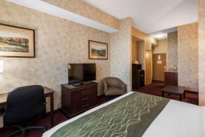 Televízia a/alebo spoločenská miestnosť v ubytovaní Comfort Inn & Suites
