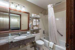 
a bathroom with a sink, toilet and shower at Quality Inn Wausau in Wausau

