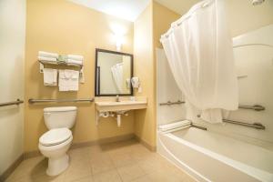 Sleep Inn & Suites Douglas的一间浴室