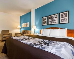 A bed or beds in a room at Sleep Inn & Suites Evansville