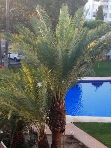 Bazén v ubytování Casa María Carihuela Park Palace nebo v jeho okolí
