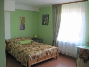 1 dormitorio con cama y ventana grande en Hadjibulevata Guest House, en Kovachevtsi