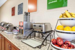 Fotografie z fotogalerie ubytování Comfort Inn Lexington South v destinaci Nicholasville