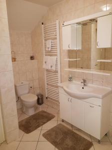 a bathroom with a sink and a toilet at Guesthouse Villa Elizabet in Palić