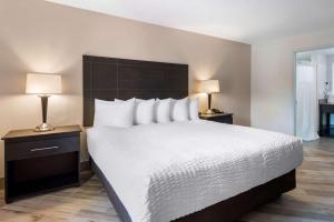Gallery image of Clarion Inn & Suites Kissimmee-Lake Buena Vista South in Kissimmee +26 photos
