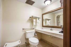 Koupelna v ubytování Econo Lodge Inn & Suites Fairview Heights St Louis