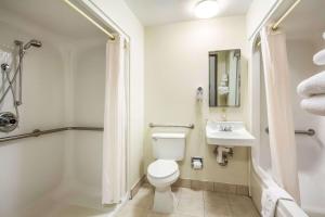 Koupelna v ubytování Econo Lodge Inn & Suites Fairview Heights St Louis