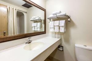 Koupelna v ubytování Econo Lodge Inn & Suites Fairview Heights St Louis