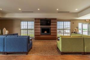 TV/trung tâm giải trí tại Comfort Inn & Suites - Harrisburg Airport - Hershey South