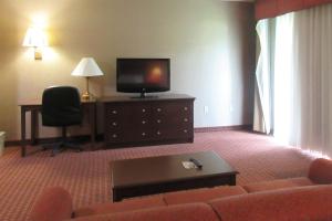 TV i/ili multimedijalni sistem u objektu Quality Inn & Suites Owego