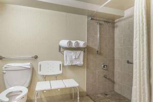 a bathroom with a toilet, sink, and shower stall at Hidden Valley Resort, Ascend Hotel Collection in Huntsville