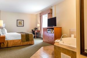 a hotel room with a bed and a television and a tub at Quality Inn & Suites in Hawkesbury